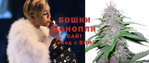 стаф Бугульма