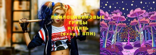 кристаллы Бородино