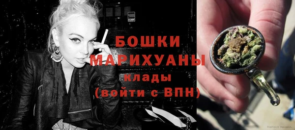мдпв Бронницы