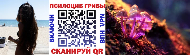 Псилоцибиновые грибы мухоморы даркнет сайт Малаховка